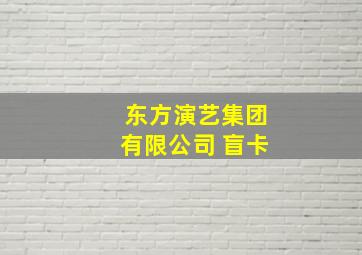 东方演艺集团有限公司 盲卡